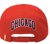 Pro Standard Chicago Bulls Wordmark Logo Pink Brim Snap Back (Red)